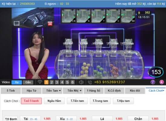 Khái quát về lotto bet là gì dễ hiểu 